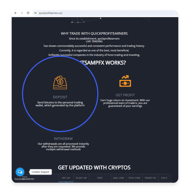 A fake or scam website: What it is, and how to know if a website is legit