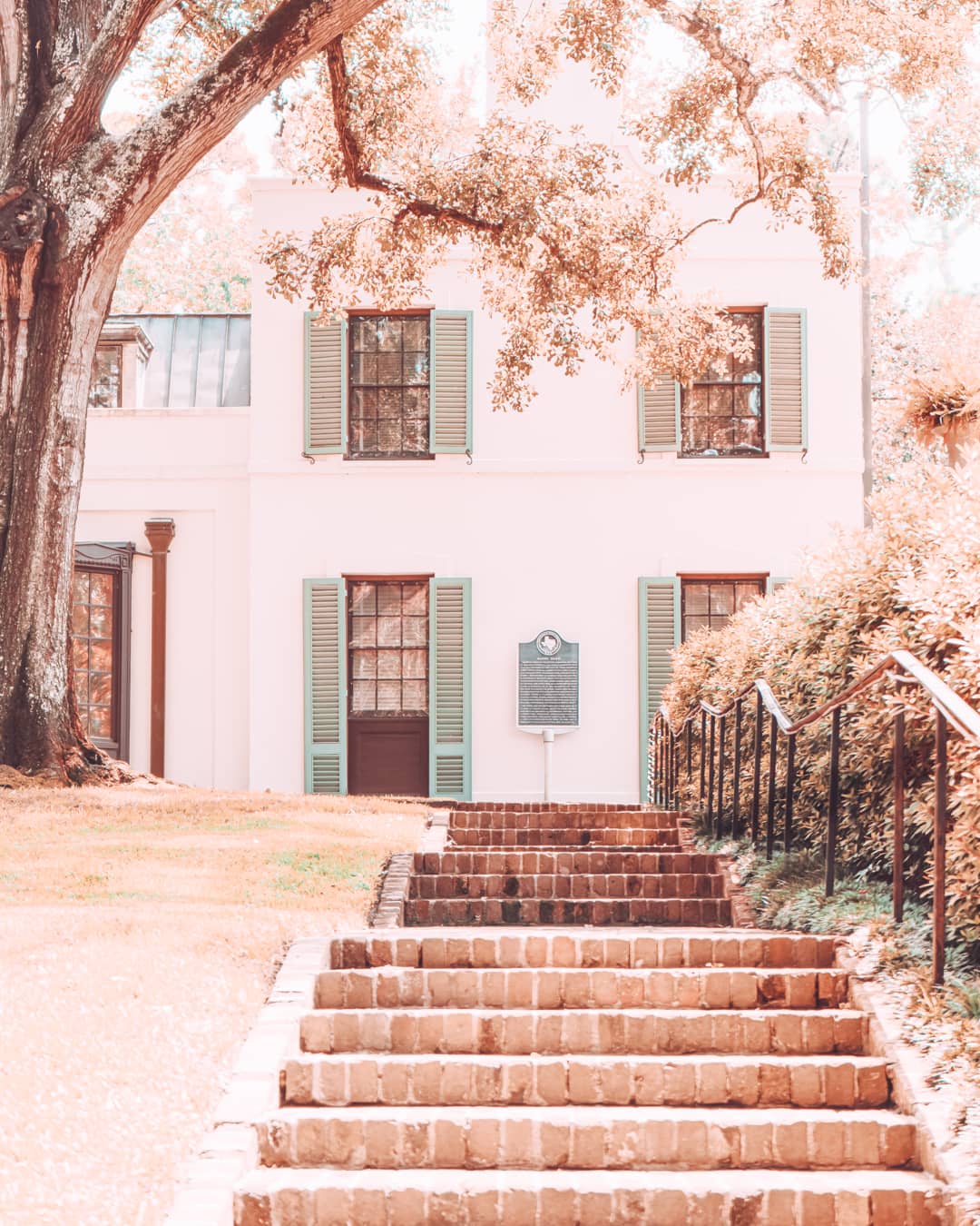 Bayou Bend Collection and Gardens