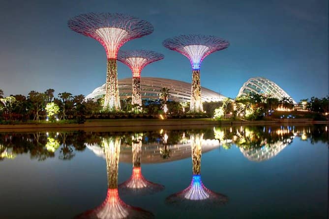 Cloud Forest + Supertree Observatory - Inclusions and Timing