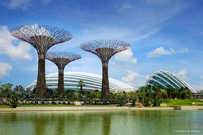 Cloud Forest + Supertree Observatory - Visitor Reviews and Ratings