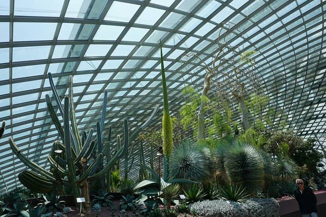 Cloud Forest + Supertree Observatory - Getting to the Attraction