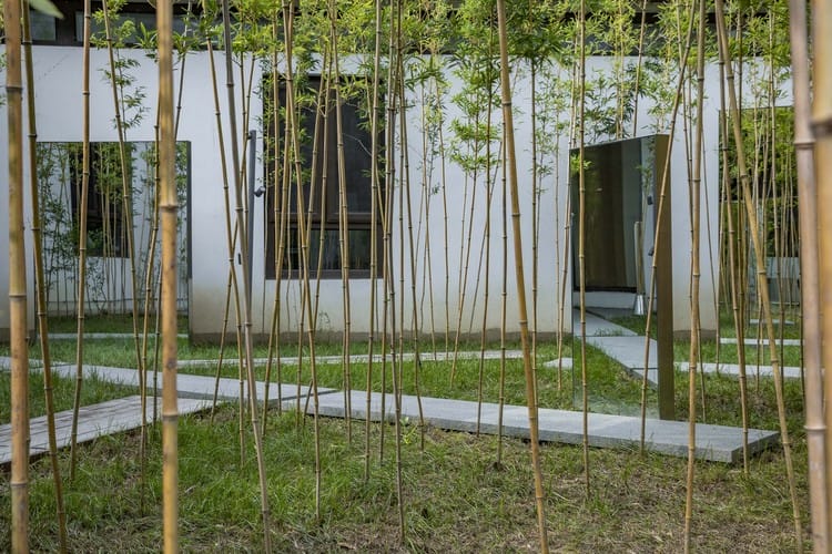 云·艺术中心/ TEMP - 建筑图