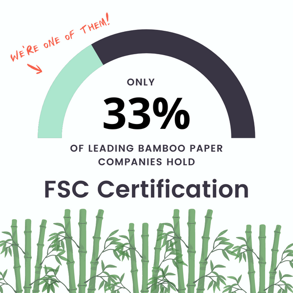 FSC certified bamboo toilet paper brands - Cloud Paper and Seedling by Grove